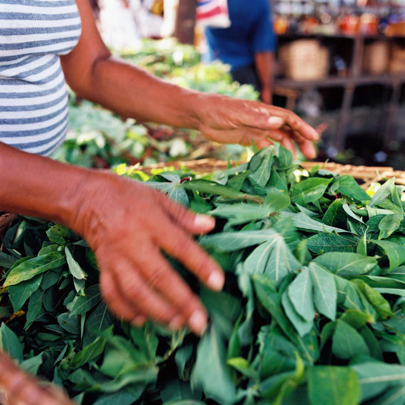 西方人,手,一个人,菜场,站,捧,交叉,方图,室外,白天,侧面,购物,消费,竹子,蔬菜,叶子,欧洲,非洲,黑人,欧洲人,双手,仅一个女性,仅一个人,一堆,堆叠,堆积,竹制,服装,新鲜,编织,篮子,食品,绿叶,集市,市场,休闲装,食物,衣服,竹篮,站着,仅一个中年女性,休闲,手部,休闲服,嫩叶,金融,服饰,有机食品,绿色食品,竹条,堆,交织,竹制品,选购,贸易,穿插,菜市,女人,女性,中年女性,非洲人,叶,叶片,端,端着,捧着,手捧,站立,半身,彩图,菜市场