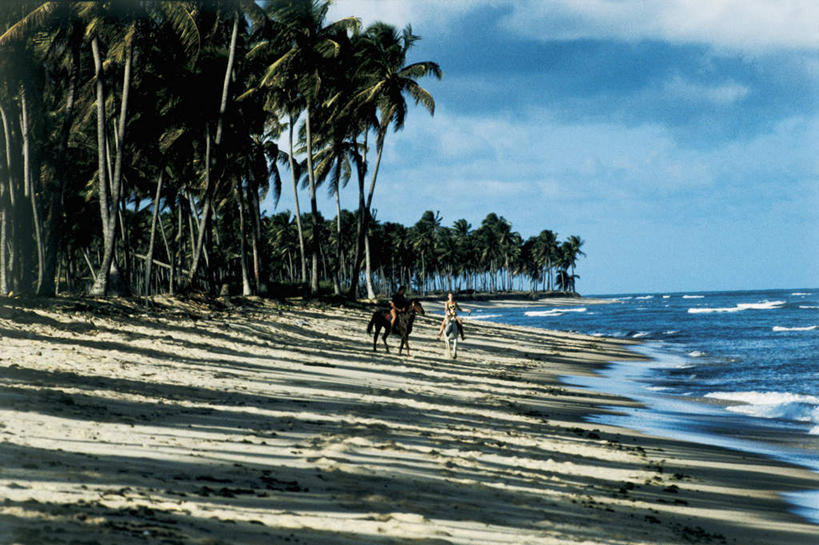 西方人,两个人,站,坐,横图,室外,白天,正面,爱情,旅游,度假,海浪,海洋,美景,沙滩,树林,植物,棕榈树,马,野生动物,叶子,巴西,欧洲,欧洲人,阴影,光线,沙子,影子,海岸,景观,浪花,水平线,云,云朵,辽阔,绿叶,海平线,沙地,浪漫,云彩,注视,娱乐,树,树木,蓝色,绿色,白云,蓝天,天空,阳光,自然,海水,动物,天,观察,看,站着,享受,休闲,广阔,温暖,温馨,嫩叶,景色,南美,恩爱,放松,运输,恋人,牲畜,生长,晴朗,成长,观看,一望无际,和睦,察看,南美洲,两匹,拉丁美洲,关注,自然风光,美洲,海景,棕榈叶,巴西联邦共和国,亚美利加洲,南亚美利加洲,无边无际,一马平川,男人,男性,年轻男性,年轻女性,女人,女性,白种人,情侣,叶,叶片,大海,风浪,海,海水的波动,海滩,近岸浪,涌浪,晴空,站立,坐着,彩图,全身,伴侣,融洽,水天相接,水天一线