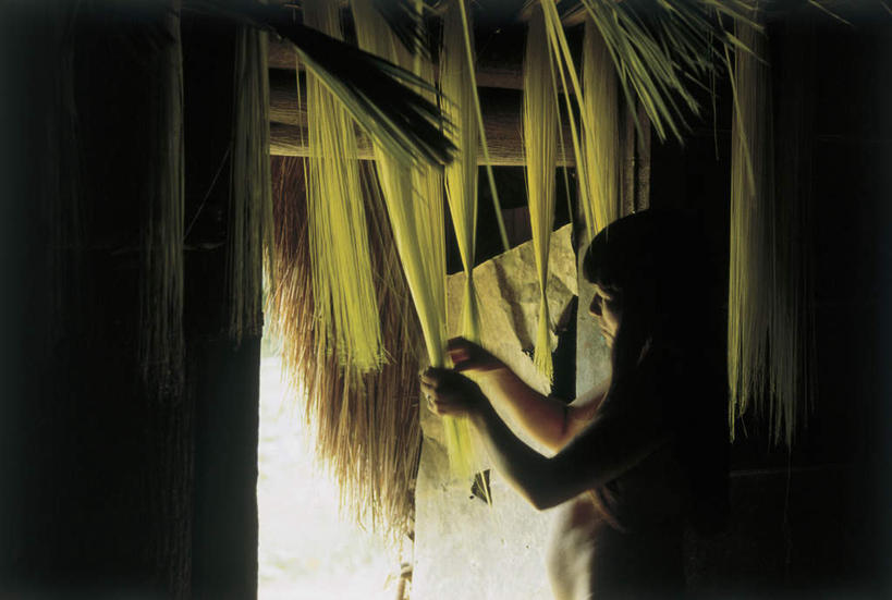 西方人,一个人,家,站,举,横图,室内,白天,侧面,门,叶子,欧洲,非洲,黑人,欧洲人,仅一个女性,仅一个人,握,房屋,墙,屋子,稻草,绿叶,拿,拿着,注视,楼房,裸露,墙壁,墙面,住宅,门框,观察,看,托,站着,仅一个中年女性,嫩叶,握着,观看,察看,关注,裸,女人,女性,中年女性,非洲人,叶,叶片,举起,举手,举着,向上举,向上伸,向上托,站立,半身,彩图,房子