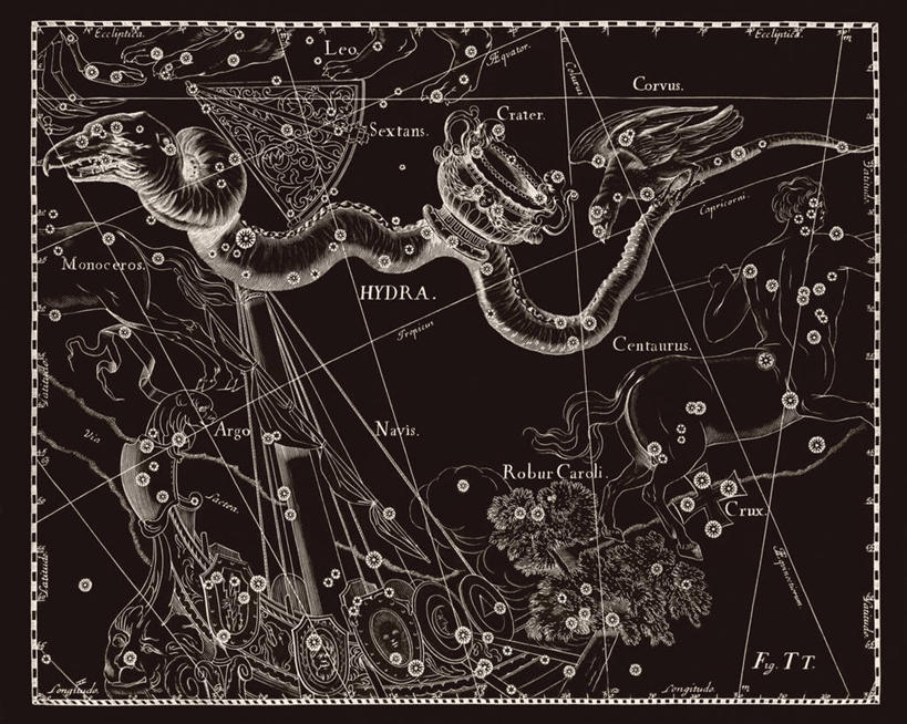 无人,横图,黑白,地图,科学,星星,摄影,星座,乌鸦,陨石坑,手艺,天文学,拉丁文,雕刻术