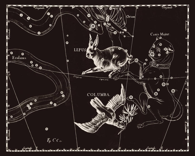 无人,横图,黑白,地图,科学,斑鸠,星星,摄影,星座,手艺,天文学,家兔,拉丁文,雕刻术