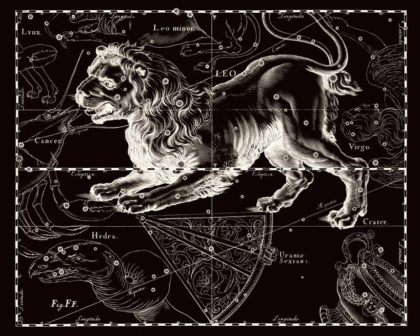 无人,横图,黑白,狮子,地图,科学,星星,摄影,狮子座,星座,手艺,天文学,拉丁文,雕刻术