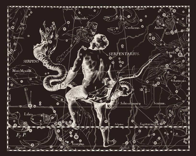 无人,横图,黑白,地图,科学,蛇,星星,摄影,巨蛇座,星座,手艺,天文学,拉丁文,雕刻术