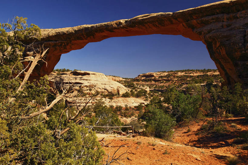 无人,横图,室外,白天,沙漠,美国,地形,地标建筑,摄影,犹他,天然桥国家公园,地质学,岩石,彩图,旅行,圣胡安县