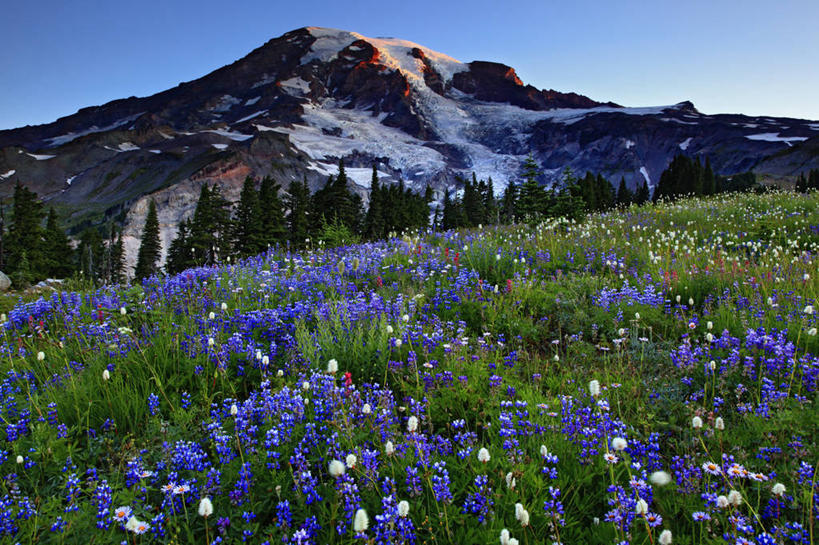 无人,公园,横图,室外,白天,草地,日出,火山,瀑布,华盛顿,美国,地形,野花,地标建筑,安静,摄影,宁静,北美,北美洲,国家公园,早晨,清新,美洲,冰河,华盛顿州,白羽扇豆,卡斯基德山脉,雷尼尔山国家公园,瑞尼尔山国家公园,常绿之州,常青州,北亚美利加洲,亚美利加洲,地质学,天堂镇,彩图,皮尔斯县