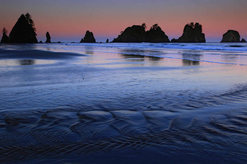 无人,公园,横图,室外,白天,日出,海浪,海洋,华盛顿,美国,地形,黎明,地标建筑,摄影,太平洋,北美,北美洲,国家公园,美洲,华盛顿州,奥林匹克国家公园,常绿之州,常青州,北亚美利加洲,亚美利加洲,奥林匹克半岛,地质学,奥林匹克山脉,海滩,岩石,彩图,美利坚合众国