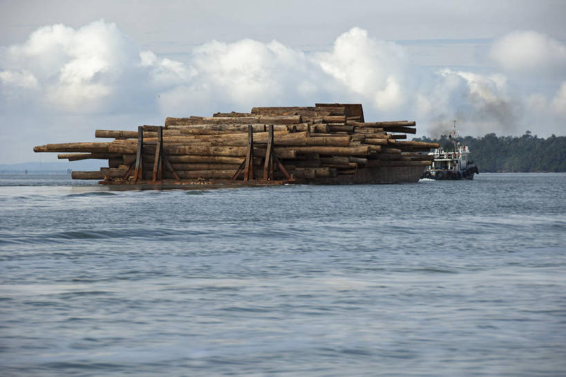 无人,横图,室外,白天,船,马来西亚,亚洲,环保,木制,木材,运输,摄影,东南亚,能源,回收,资源,渡轮,圆木,利用,低碳,循环,持续,婆罗洲岛,马来西亚联邦,沙巴州,彩图,驳船