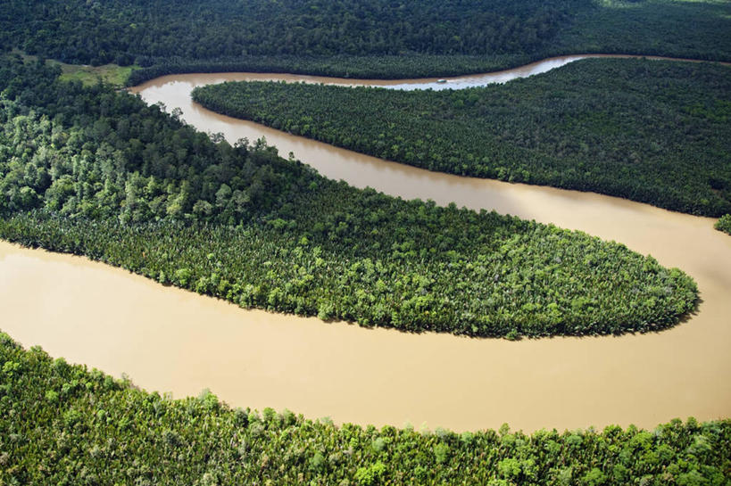 无人,横图,室外,白天,河流,风,马来西亚,亚洲,树,摄影,东南亚,泥,淤泥,环境保护,潘塔纳尔湿地,婆罗洲岛,马来西亚联邦,沙巴州,彩图,红树林,生态多样性