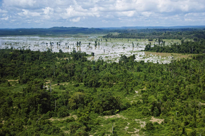 无人,横图,室外,白天,森林,马来西亚,亚洲,摄影,东南亚,泥,岩层,环境保护,潘塔纳尔湿地,婆罗洲岛,马来西亚联邦,沙巴州,岩石,彩图,红树林,水灾,生态多样性,雨林