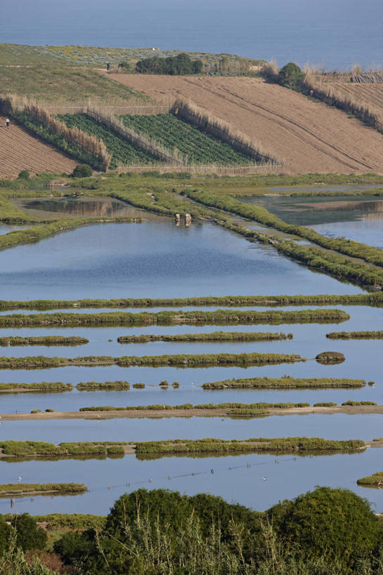 无人,农场,竖图,室外,白天,农业,海洋,水,非洲,田地,堤岸,大西洋,摄影,北非,水力发电,彩图,防洪堤