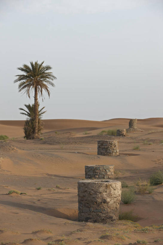 无人,竖图,室外,白天,棕榈树,非洲,摩洛哥,沙丘,摄影,井,北非,海枣树,撒哈拉沙漠,彩图