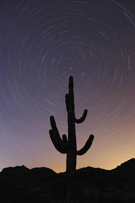 无人,竖图,室外,夜晚,运动模糊,美景,日落,沙漠,仙人掌,美国,景观,星星,自然,黄昏,景色,摄影,北极星,亚利桑那,自然风光,剪影,彩图