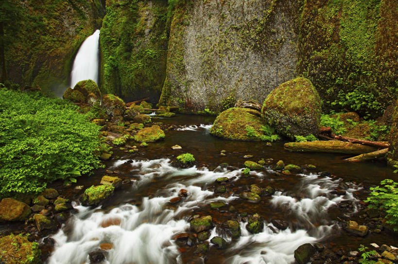 无人,横图,室外,白天,瀑布,峡谷,美国,地形,苔藓,小溪,地标建筑,摄影,清新,俄勒冈州,哥伦比亚河谷,地质学,岩石,彩图