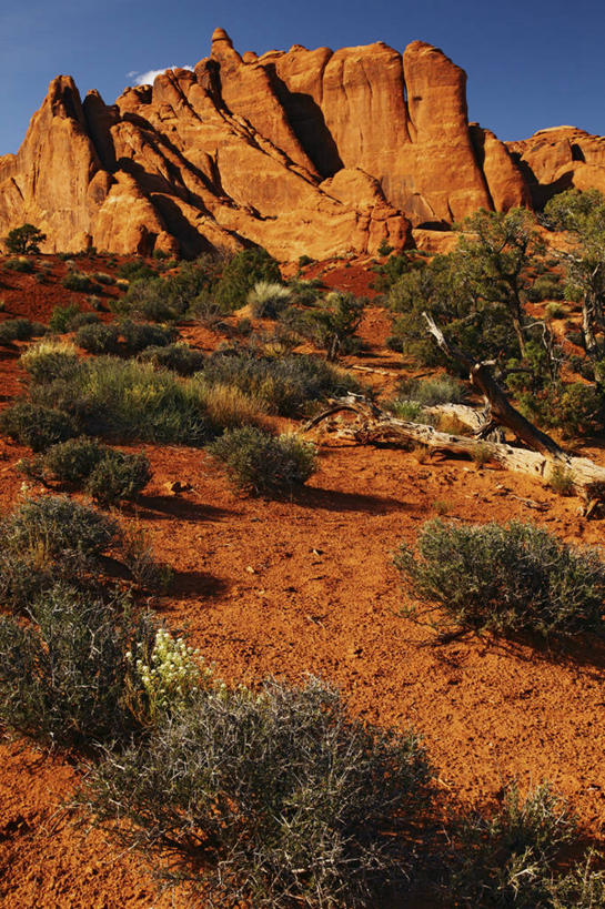 无人,竖图,室外,白天,沙漠,美国,地形,地标建筑,摄影,拱门国家公园,犹他,地质学,岩石,彩图,旅行,山艾树