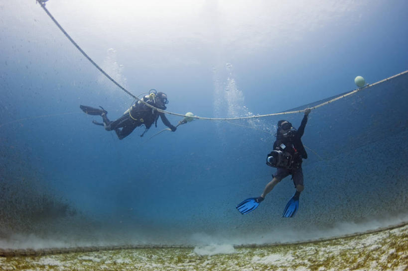 两个人,横图,渔业,海底,水下,马来西亚,吊挂,悬挂,朦胧,模糊,摄像机,挂,绳子,摄像,摄影,摄影机,海草,录像,鱼网,环境保护,沙巴州,危险,彩图,水肺潜水