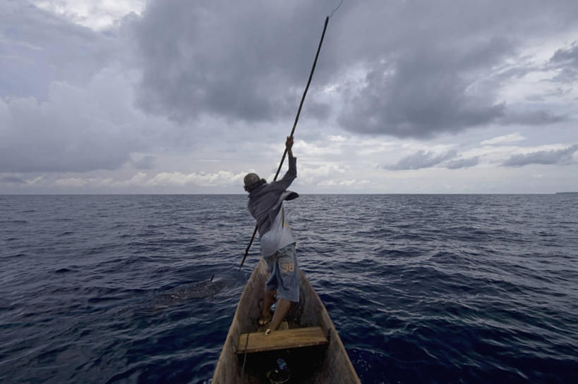 成年人,中年人,一个人,横图,室外,海洋,船,印度尼西亚,仅一个男性,仅一个人,仅一个中年男性,背面,动物,摄影,鱼叉,棱皮龟,环境,独木舟,矛,猎人,濒危物种,男人,男性,中年男性,海龟,彩图,钓鱼