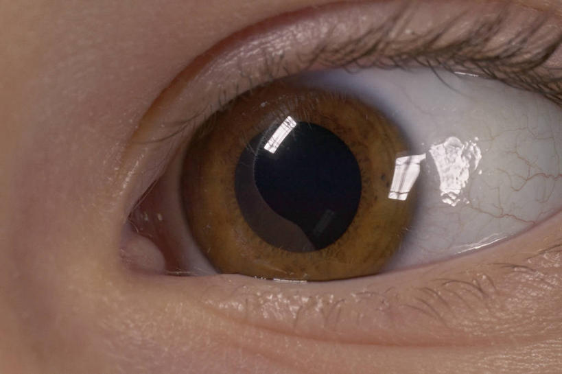 西方人,儿童,眼睛,虹膜,一个人,横图,特写,纯洁,欧洲,欧洲人,瞳孔,仅一个女性,仅一个人,小孩,仅一个小孩,可爱,童年,童趣,眼部,摄影,视力,眼球,童真,烂漫,无邪,巩膜,角膜,天真,女孩,女人,女性,白种人,孩子,眼,彩图,女生