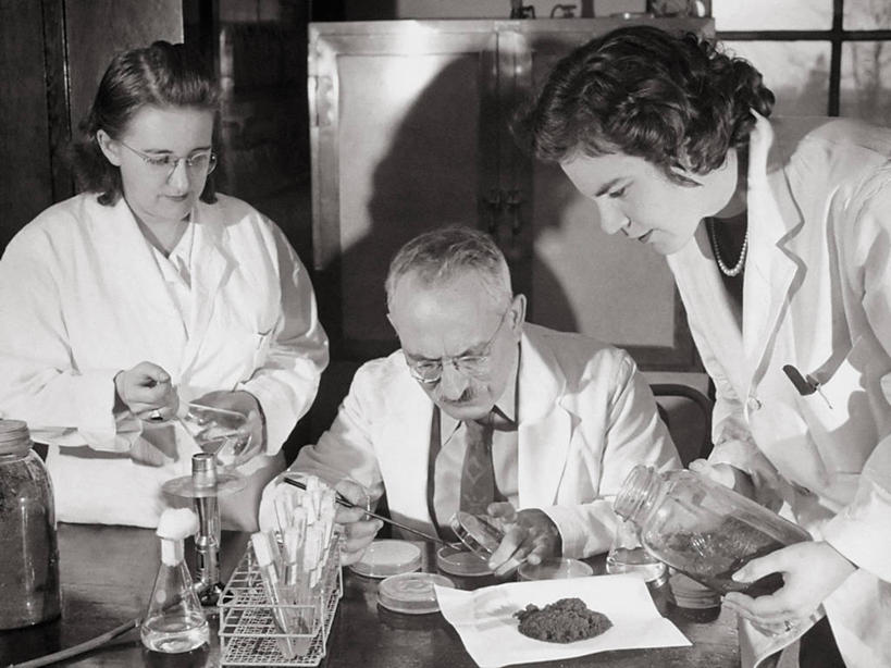 西方人,成年人,老年人,三个人,科学家,横图,黑白,欧洲,美国,欧洲人,药,检查,研究,科学,历史,摄影,抗生素,皮氏培养皿,新泽西,结核杆菌,老年男性,男人,男性,年轻女性,白种人,年轻人,纽宾士域,链霉素