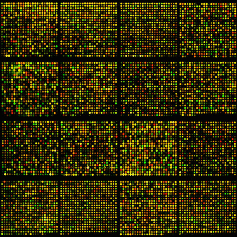 无人,方图,抽象,照明,美国,科学,彩灯,灯光,灯,灯具,摄影,花灯,鼠,照亮,遗传研究,脱氧核糖核酸,照明设备,圣诞灯,马里兰,彩图