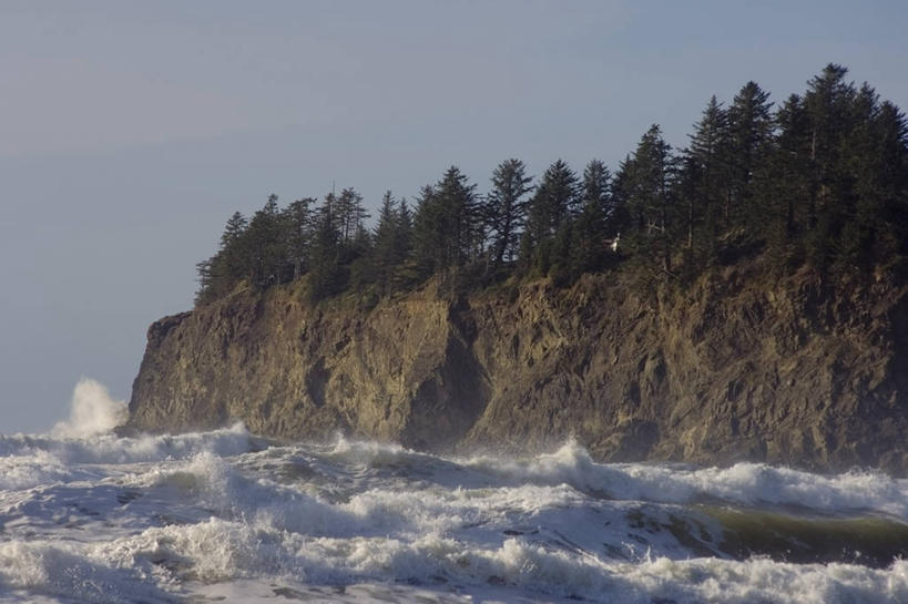 无人,公园,横图,室外,海浪,海洋,水,华盛顿,美国,树,自然,波浪,摄影,太平洋,北美,北美洲,国家公园,美洲,华盛顿州,奥林匹克国家公园,常绿之州,常青州,北亚美利加洲,亚美利加洲,奥林匹克半岛,奥林匹克山脉,岩石,针叶树,彩图,美利坚合众国