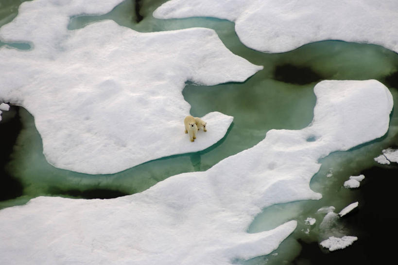 游泳,无人,横图,俯视,航拍,室外,白天,北极,水,全球变暖,北极熊,哺乳动物,野生动物,熊,美国,环保,捕食,冰,小熊,一对,自然,动物,浮冰,夏天,两只,摄影,能源,环境,回收,资源,生物学,鸟瞰,幼兽,生存,利用,低碳,循环,持续,开端,濒危物种,彩图,高角度拍摄,旅行,弱点,白令海,冰架