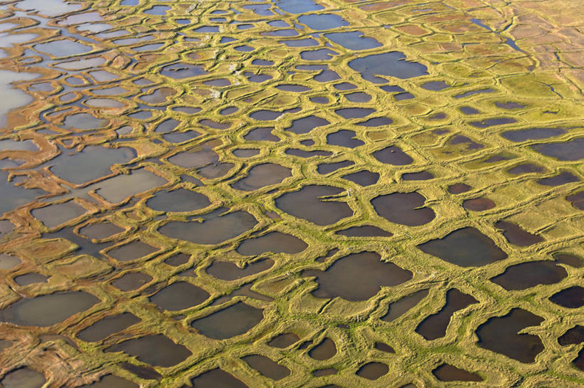 无人,横图,俯视,航拍,室外,白天,北极,湖,水,全球变暖,美国,形状,池塘,地形,海岸线,自然,摄影,环境,鸟瞰,潘塔纳尔湿地,三角洲,彩图,高角度拍摄,冻原