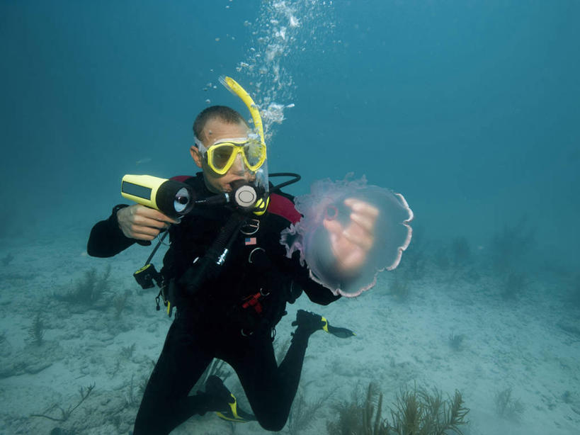 西方人,成年人,一个人,横图,通讯,探险,水下,野生动物,欧洲,欧洲人,仅一个男性,仅一个人,检查,透明,科学,光,无脊椎动物,仅一个年轻男性,自然,摄影,观看,有毒物质,照明设备,手电筒,刺胞动物,幽浮水母,男人,男性,年轻男性,白种人,年轻人,彩图,水肺潜水,好奇心