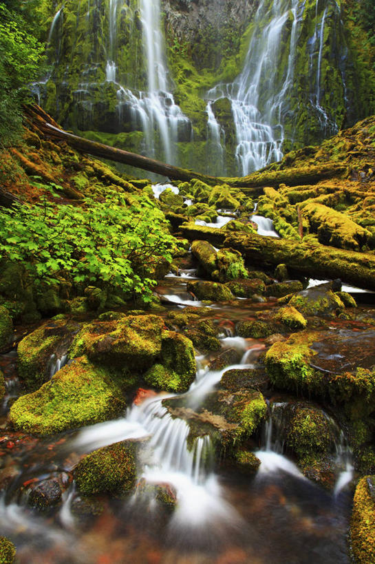 无人,竖图,室外,白天,瀑布,美国,地形,苔藓,地标建筑,摄影,清新,圆木,俄勒冈州,岩石,彩图