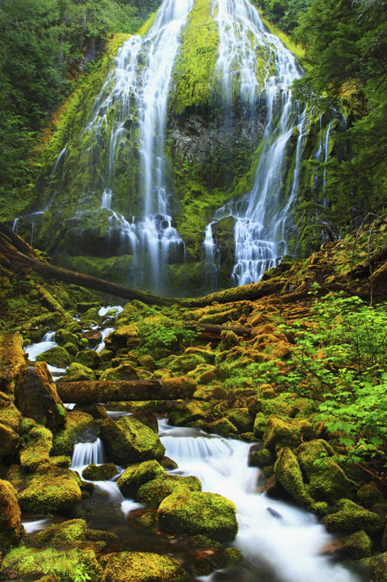 无人,竖图,室外,白天,神秘,瀑布,美国,地形,苔藓,地标建筑,摄影,清新,圆木,俄勒冈州,岩石,彩图