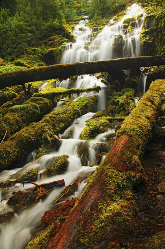 无人,竖图,室外,白天,瀑布,美国,地形,苔藓,地标建筑,摄影,清新,圆木,俄勒冈州,岩石,彩图