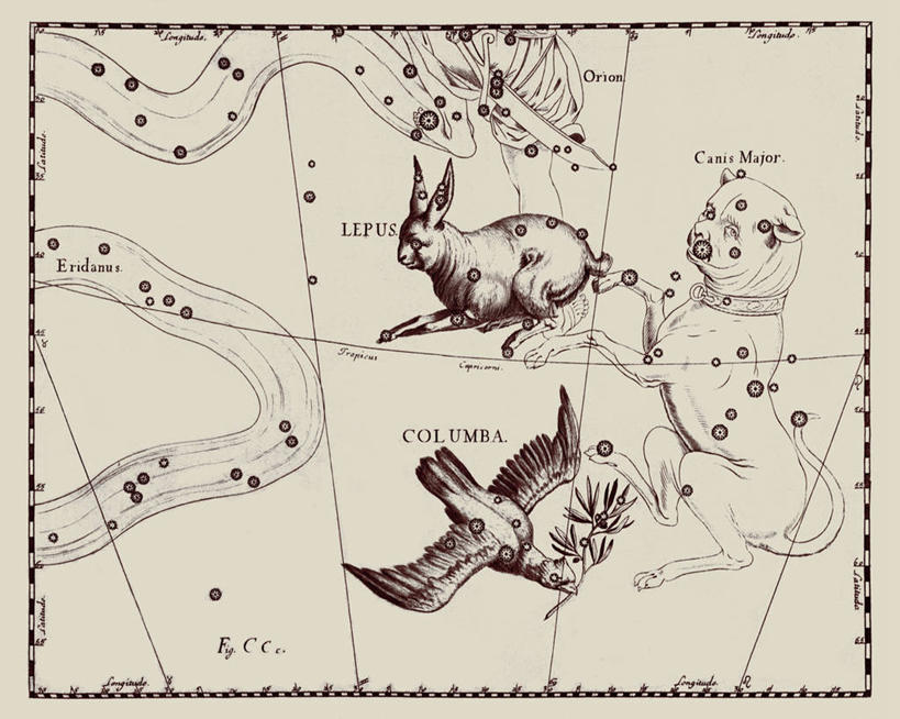 无人,横图,地图,艺术,科学,斑鸠,星星,摄影,星座,天文学,家兔,拉丁文,彩图,雕刻术