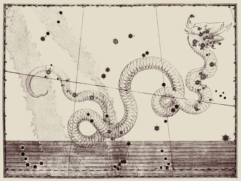 无人,横图,地图,艺术,科学,蛇,星星,摄影,巨蛇座,星座,天文学,彩图,雕刻术