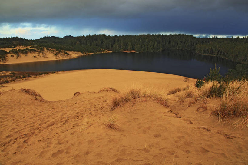 无人,横图,室外,白天,湖,森林,暴风雨,美国,地形,沙丘,摄影,宁静,俄勒冈州,滨草,彩图,旅行