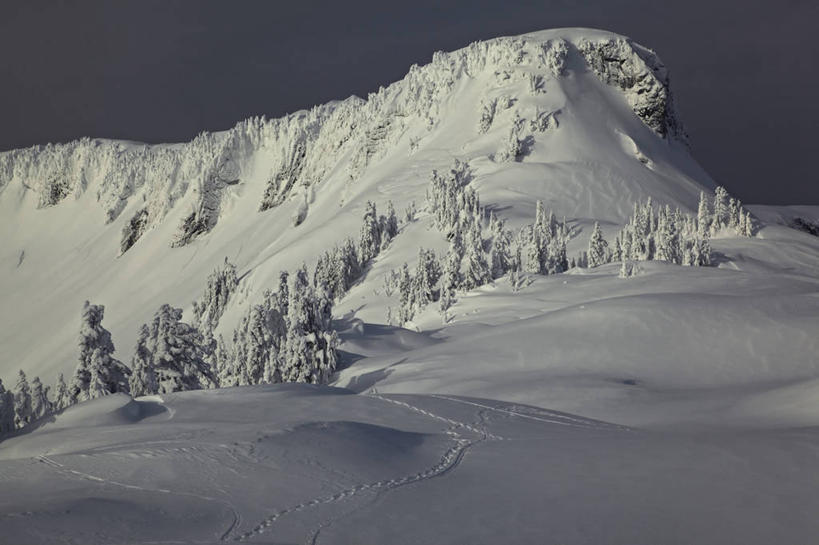 无人,横图,室外,白天,雪,美国,地形,冬天,寒冷,摄影,华盛顿州,彩图,旅行,开普半岛