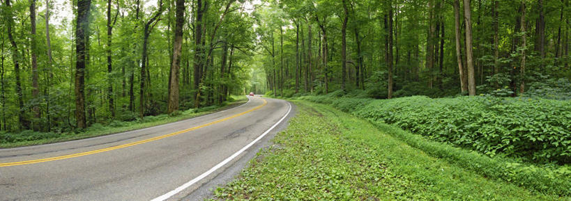 无人,横图,全景,室外,白天,度假,森林,路,美国,摄影,北美,北美洲,美洲,北亚美利加洲,亚美利加洲,田纳西,休闲活动,彩图,旅行,美利坚合众国,阿巴拉契亚