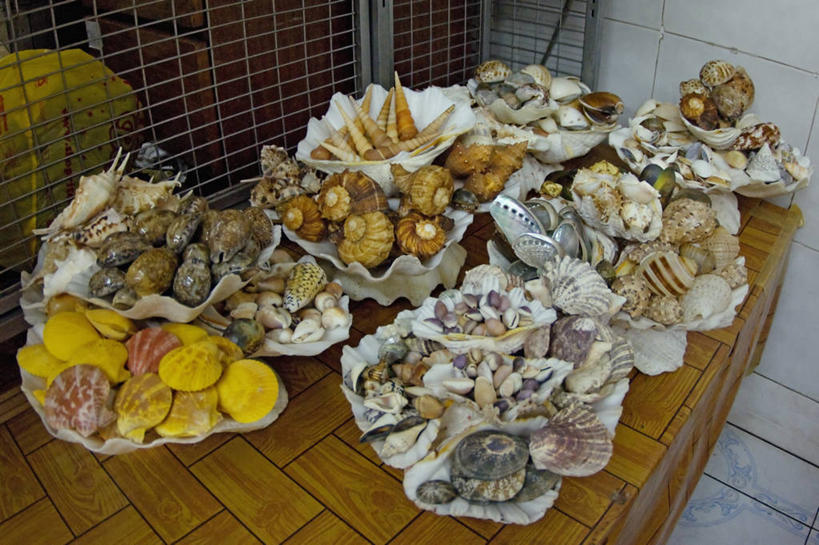 无人,商店,横图,室内,马来西亚,环保,工业,摄影,能源,多样,软体动物,海扇,回收,资源,利用,低碳,循环,环境保护,持续,婆罗洲岛,哥打基纳巴卢,彩图,双壳贝