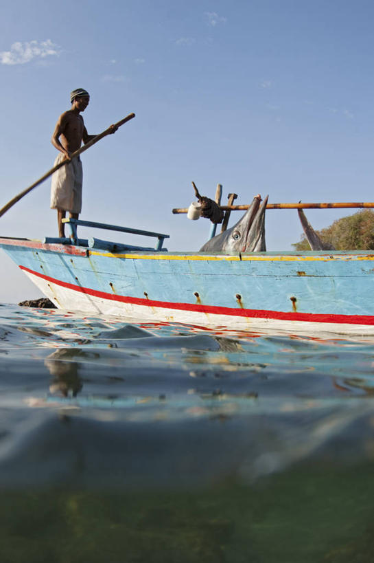 成年人,中年人,一个人,竖图,室外,白天,渔业,水,船,印度尼西亚,仅一个男性,仅一个人,仅一个中年男性,工作,摄影,死亡,殒命,灭亡,马林鱼,男人,男性,中年男性,马来西亚人,彩图
