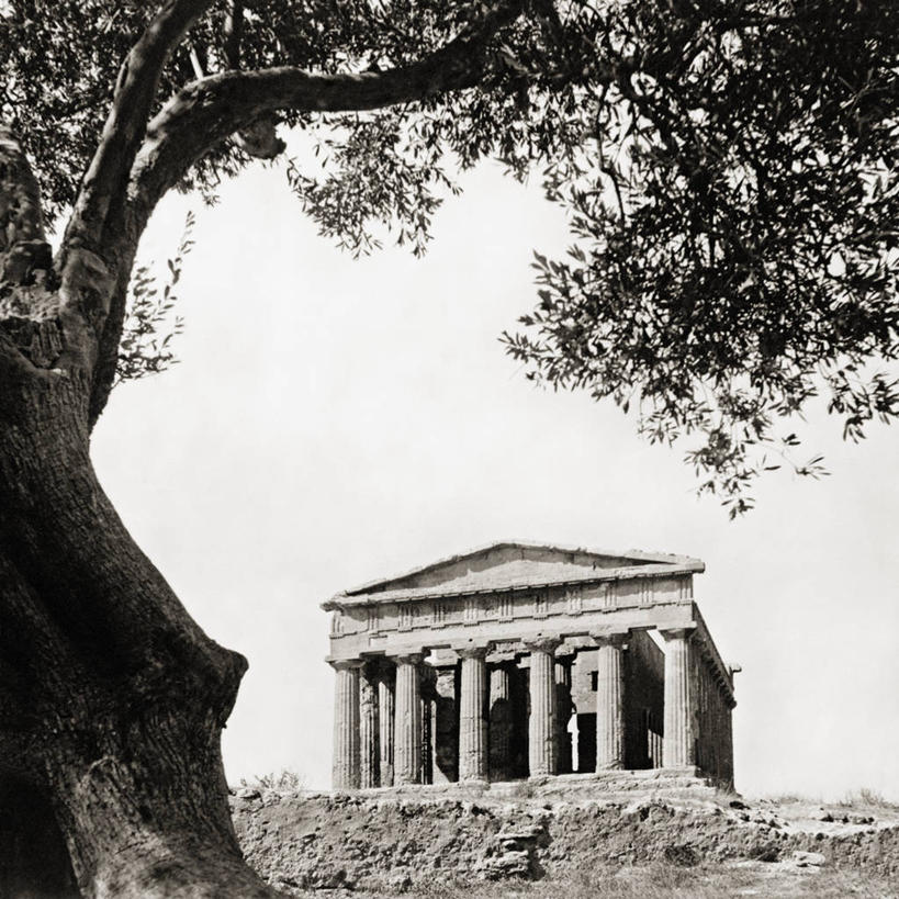 无人,方图,黑白,室外,白天,建筑,意大利,历史,摄影,西西里,阿格利真托,油橄榄树