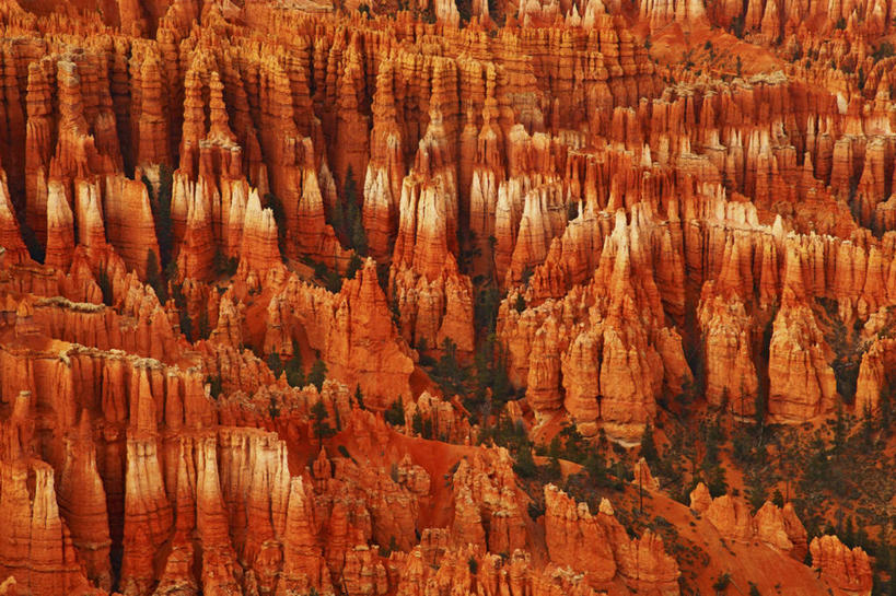无人,横图,室外,白天,石头,沙漠,红色,摄影,岩层,犹他,布莱斯峡谷国家公园,猪鬃,岩石,彩图
