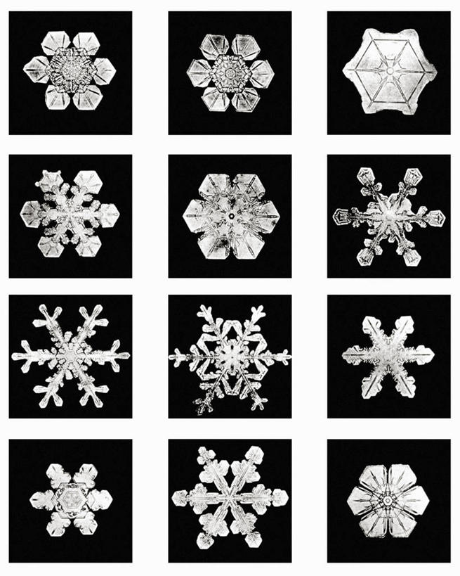 无人,竖图,黑白,微距,美国,标志,格子,六边形,数字,文字,字符,冰,雪花,标识,冰晶,摄影,阿拉伯数字,北美,北美洲,美洲,佛蒙特州,佛蒙特,绿岭之州,北亚美利加洲,亚美利加洲,美利坚合众国,耶利哥