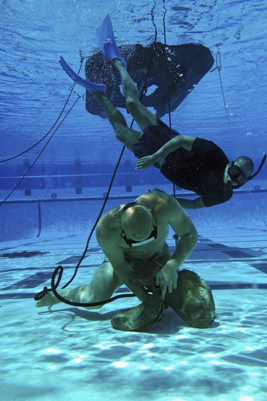 成年人,两个人,学生,竖图,室内,水下,美国,军事,蓝色,摄影,加利福尼亚,海军,科罗纳多岛,浮潜,忠告,男人,彩图