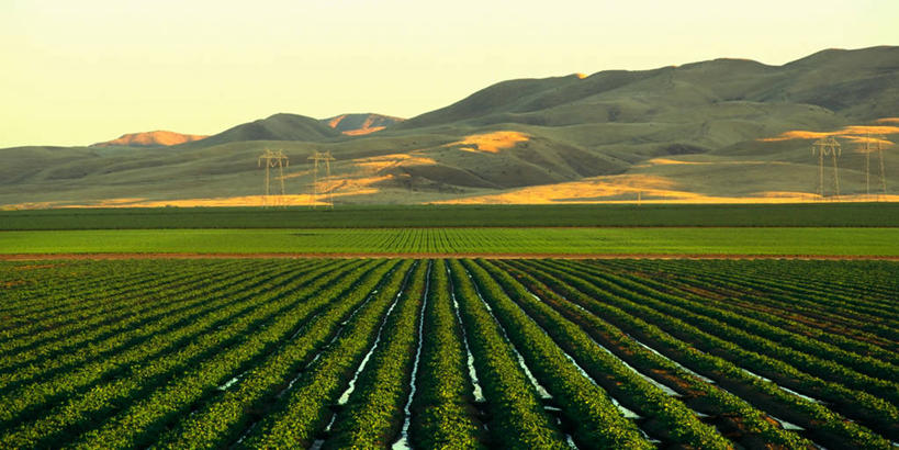 皱纹,无人,横图,全景,室外,白天,旅游,度假,农业,农作物,太阳能,美景,日落,山,水,西红柿,美国,条纹,干燥,景观,娱乐,饮食,蓝色,绿色,自然,享受,休闲,电话线,景色,放松,摄影,生长,协调,北美,北美洲,加利福尼亚,自然风光,美洲,克隆,光合作用,发展,加州,环境保护,加利福尼亚州,金州,黄金州,灌溉设备,萨克拉门托,北亚美利加洲,亚美利加洲,沟,口渴,萨克拉门托县,几何形状,彩图,耕地,县治,美利坚合众国,沙加缅度