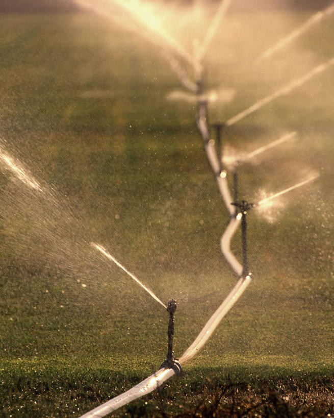 无人,竖图,室外,白天,旅游,度假,农业,农作物,太阳能,美景,水,喷,丰富,弯曲,液体,景观,干草,娱乐,饮食,自然,享受,休闲,景色,放松,工业,摄影,流动,准确,北美,加利福尼亚,自然风光,逆光,生存,光合作用,紫花苜蓿,环境保护,灌溉设备,喷出,彩图