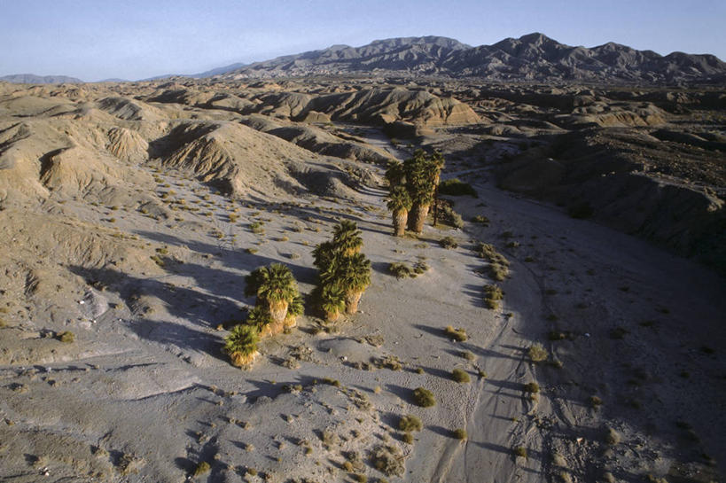 无人,公园,横图,俯视,室外,白天,河流,沙漠,山,植物,棕榈树,叶子,美国,地形,绿叶,树,树木,绿色,自然,嫩叶,摄影,生长,成长,北美,北美洲,加利福尼亚,美洲,棕榈叶,加州,加利福尼亚州,安萨玻里哥沙漠公园,金州,黄金州,北亚美利加洲,亚美利加洲,圣迭戈县,自然地理,叶,叶片,大漠,砂漠,棕树,棕榈,彩图,高角度拍摄,美利坚合众国