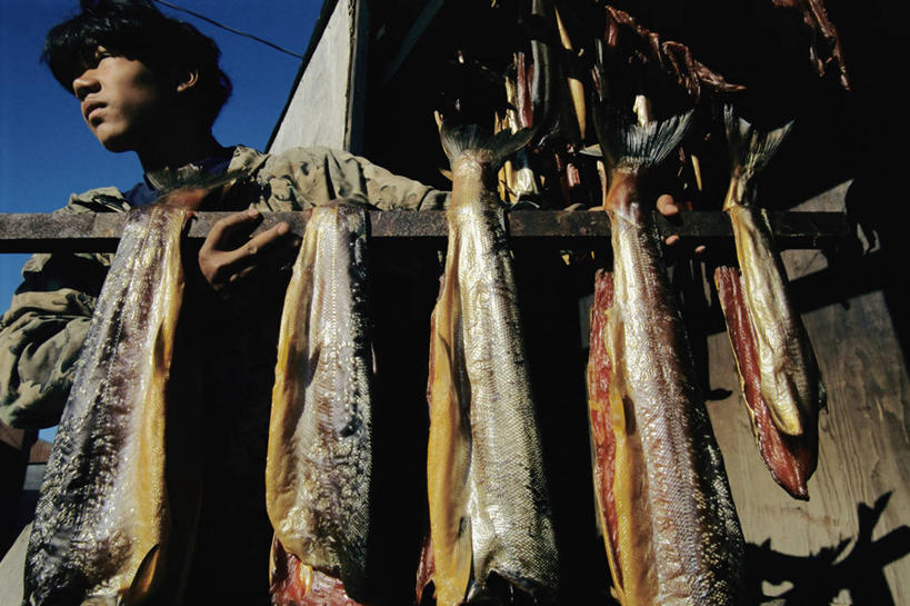 成年人,一个人,站,横图,室外,侧面,仅一个男性,一排,整齐,食品,饮食,排列,摄影,鲱鱼,队列,瓦尔迪兹,烘干,彩图,钓鱼