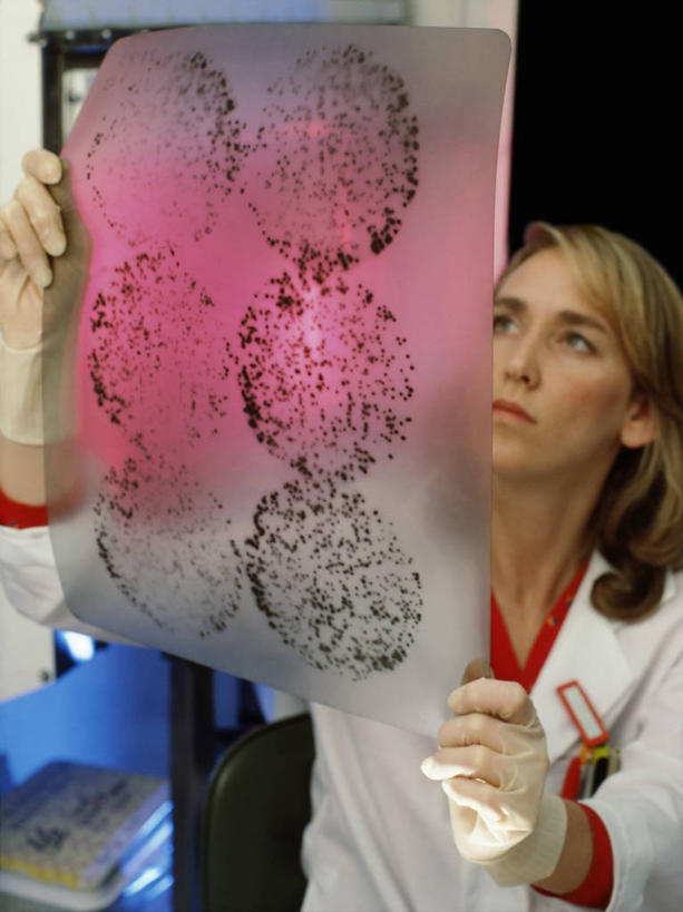 西方人,成年人,一个人,科学家,竖图,x光片,室内,安全,欧洲,欧洲人,仅一个年轻女性,仅一个女性,仅一个人,检查,辐射,科学,化学,细菌,医学,斑点,实验室,防护,放射,图像,拿着,手套,看,职业,生病,比较,探索,摄影,保护,医疗,病毒,生物学,科学技术,x射线,效率,保险,影片,x光,监视,搜寻,保全,周全,安稳,安定,防护手套,化学家,平安,年轻女性,女人,女性,白种人,年轻人,技术员,彩图,电磁波,电磁辐射,生物化学家