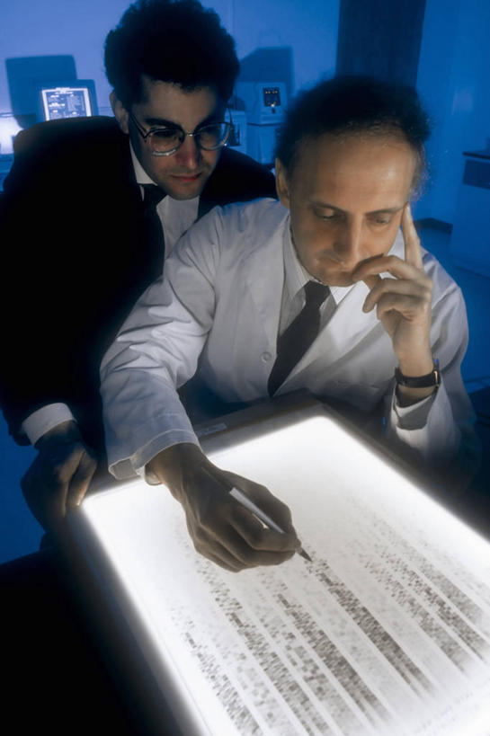 西方人,两个人,科学家,竖图,x光片,室内,技术,欧洲,欧洲人,学习,检查,发光,分析,辐射,科学,医学,实验室,光,光亮,设备,物品,笔记本,职业,个性,摄影,灯箱,照亮,工程,医疗,遗传研究,生物学,科学技术,x射线,脱氧核糖核酸,效率,肖像,身份,x光,白种人,彩图,电磁波,电磁辐射,门诊部