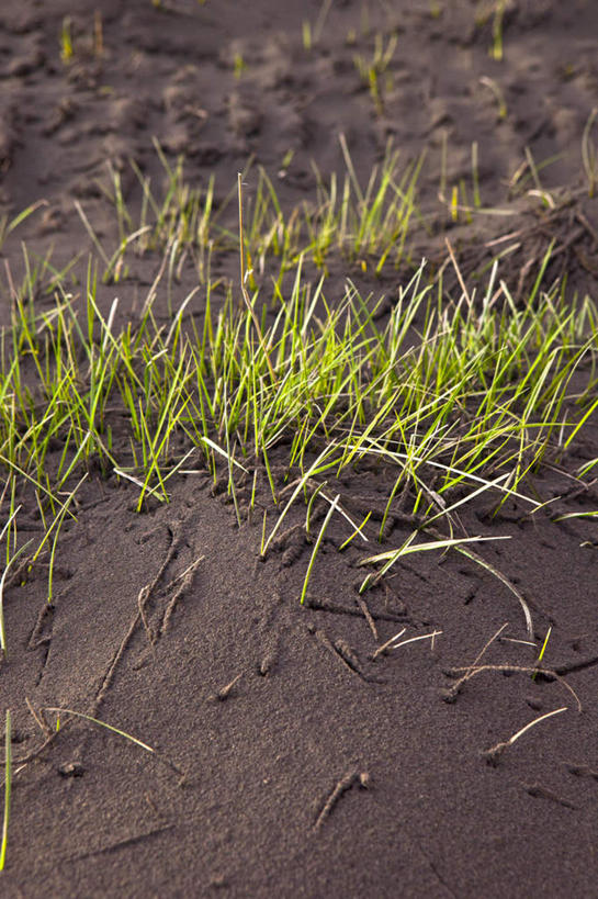 无人,竖图,俯视,室外,特写,白天,旅游,度假,草地,草坪,火山,美景,植物,新鲜,景观,泥土,土壤,娱乐,草,绿色,自然,享受,休闲,景色,放松,青春,生命,自然风光,和平,安详,冷色,活火山,死火山,休眠火山,彩图,高角度拍摄