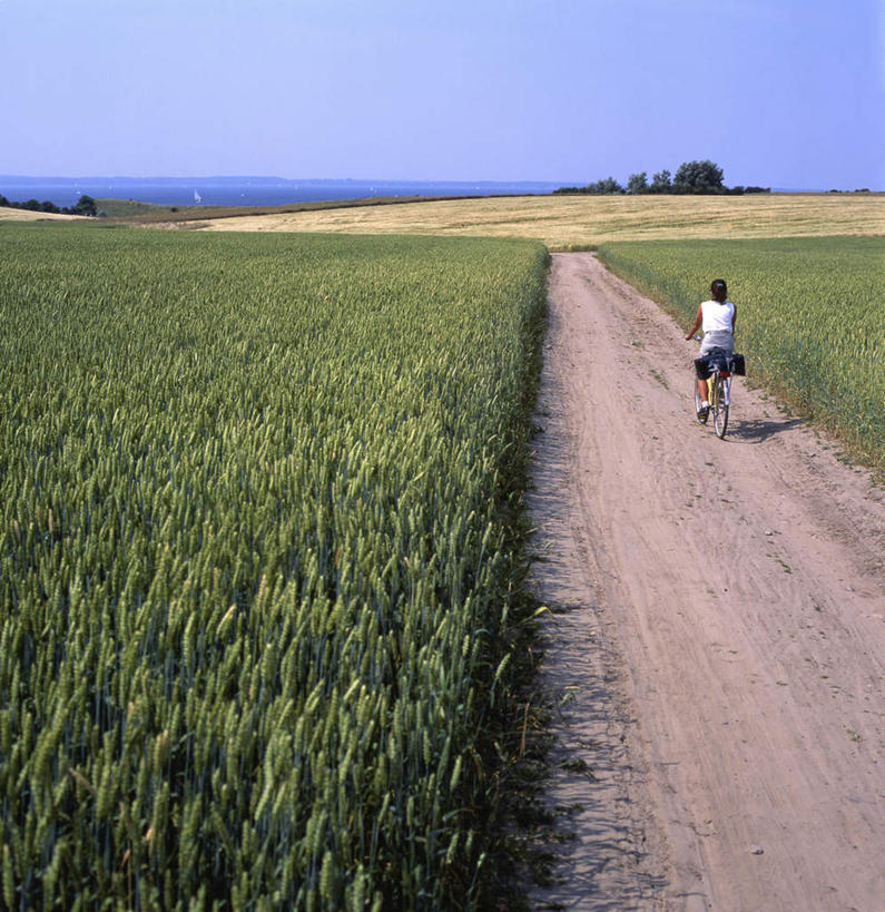 西方人,一个人,农田,坐,竖图,俯视,室外,白天,旅游,度假,庄稼,农作物,美景,植物,道路,路,自行车,瑞典,欧洲,欧洲人,仅一个女性,仅一个人,一辆,阴影,光线,影子,景观,云,云朵,小路,交通,云彩,娱乐,车,脚踏车,树,树木,蓝色,绿色,白云,蓝天,天空,阳光,自然,交通工具,天,仅一个中年女性,享受,休闲,景色,放松,生长,成长,斯堪的纳维亚,自然风光,载具,北欧,斯堪的纳维亚半岛,骑行,瑞典王国,女人,女性,中年女性,白种人,坐着,彩图,高角度拍摄,全身,耕地,庄稼田