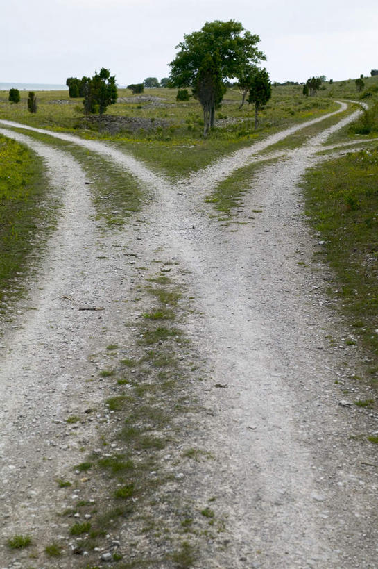 无人,竖图,俯视,室外,白天,旅游,度假,草地,草坪,美景,植物,道路,路,阴影,新鲜,光线,影子,景观,云,云朵,小路,交通,云彩,娱乐,草,树,树木,蓝色,绿色,白云,蓝天,天空,阳光,自然,天,享受,休闲,广阔,宽广,景色,放松,生长,晴朗,成长,青春,生命,宽阔,自然风光,和平,安详,广大,冷色,晴空,彩图,高角度拍摄